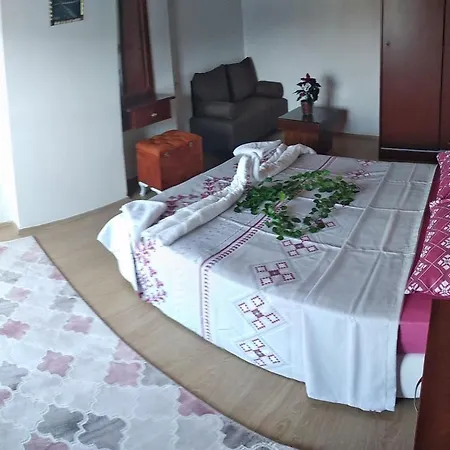 Levent 费特希耶